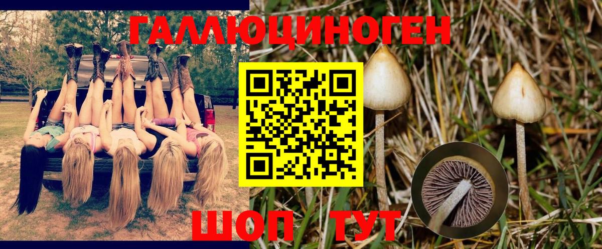 Псилоцибиновые грибы Magic Shrooms Каменск-Шахтинский